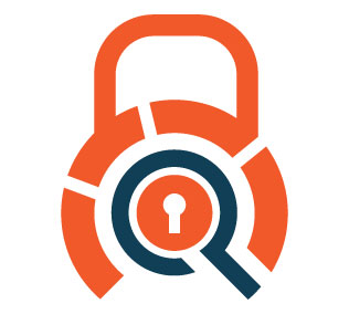secure data icon